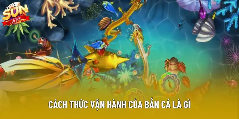 Cách thức vận hành của bắn cá là gì